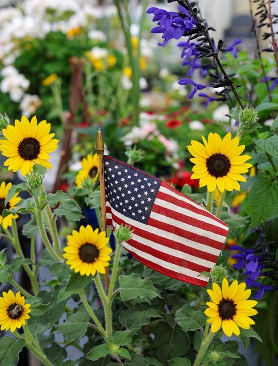 Welcome to Forest Lake Greenhouses!