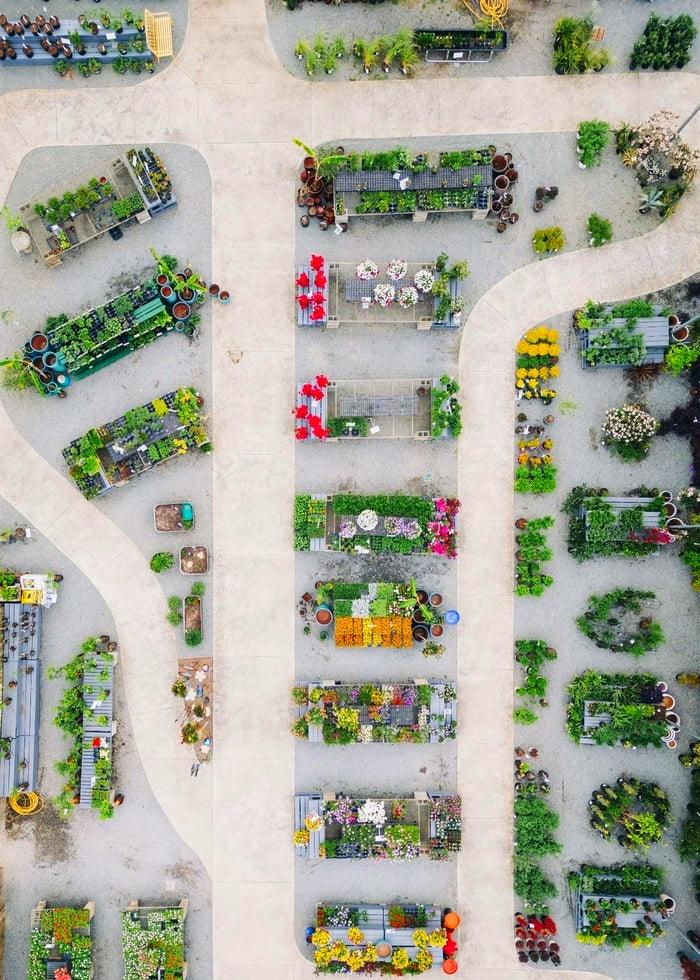 Forest Lake Greenhouses